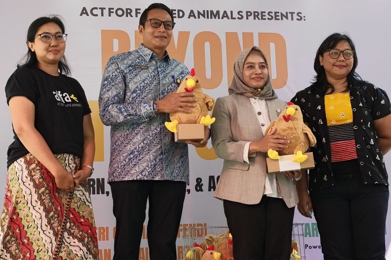 Ayam Petelur Tak Lagi Dikurung? Kementan Dorong Sistem 'Cage-Free' demi Keamanan Pangan