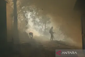 Karhutla Taman Wisata Alam Ijen Makin Meluas! Api Merembet hingga Pos 4 Jalur Pendakian