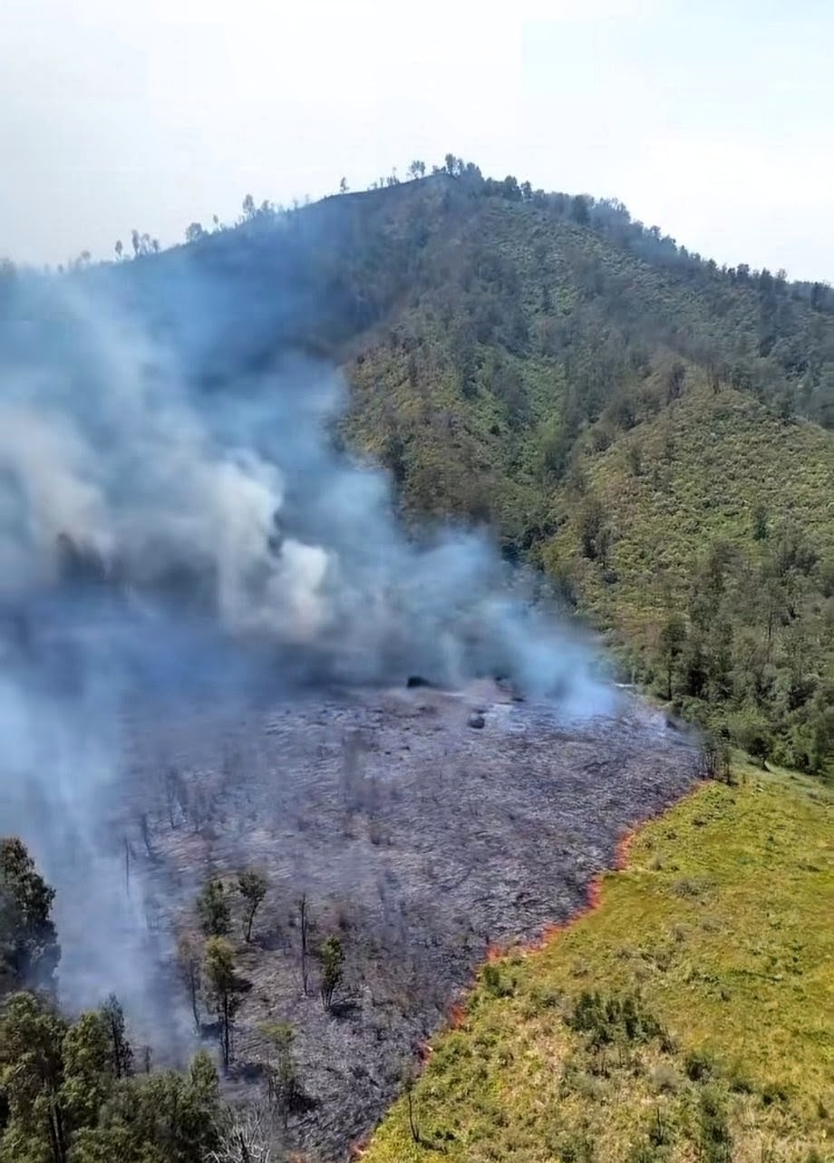 Kebakaran Kawah Ijen Merambat ke Air Terjun Kalipait Bondowoso, Tim Rescue Panjat Manual ke Titik Api