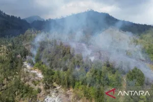Kebakaran Taman Wisata Alam Kawah Ijen Masuk Status Tanggap Darurat 