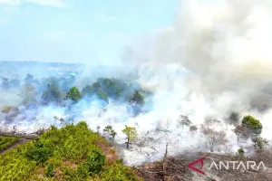 Kemlu RI Pastikan Dampak Kabut Asap Ditangani Bersama Negara Tetangga, Demi Jaga Hubungan di Kawasan
