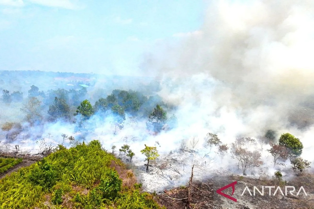 Kemlu RI Pastikan Dampak Kabut Asap Ditangani Bersama Negara Tetangga, Demi Jaga Hubungan di Kawasan