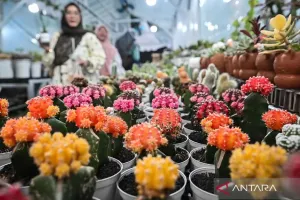 Rekomendasi Seru Berakhir Pekan di Jakarta, Ada Pameran Flora Fauna hingga Permainan Tradisional di Setu Babakan 
