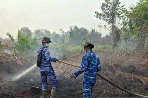 Khawatir Membara Lagi, TNI Kerahkan Personel Lanud Harry Sirami Titik Panas di Lahan Bekas Kebakaran Hutan Sambas dan Singkawang