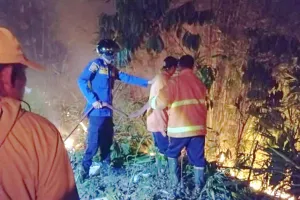 8 Hektare Lahan Hangus Sekejap, Damkar Rejang Lebong Siaga Satu Waspada Karhutla