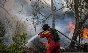 El Nino Ekstrem Ancam Karhutla Makin Parah, Pakar Ungkap Cara Penanganannya