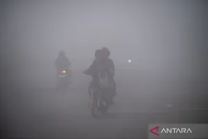 Jangan Sepelekan Asap Karhutla! Ini Indikator Kualitas Udara yang Wajib Diketahui Warga