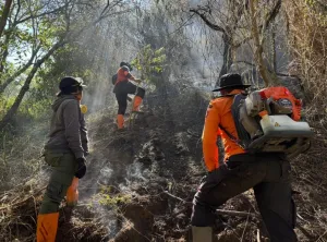 Kebakaran Gunung Semeru Akhirnya Padam, Area Terdampak Capai 3.000 Hektare 