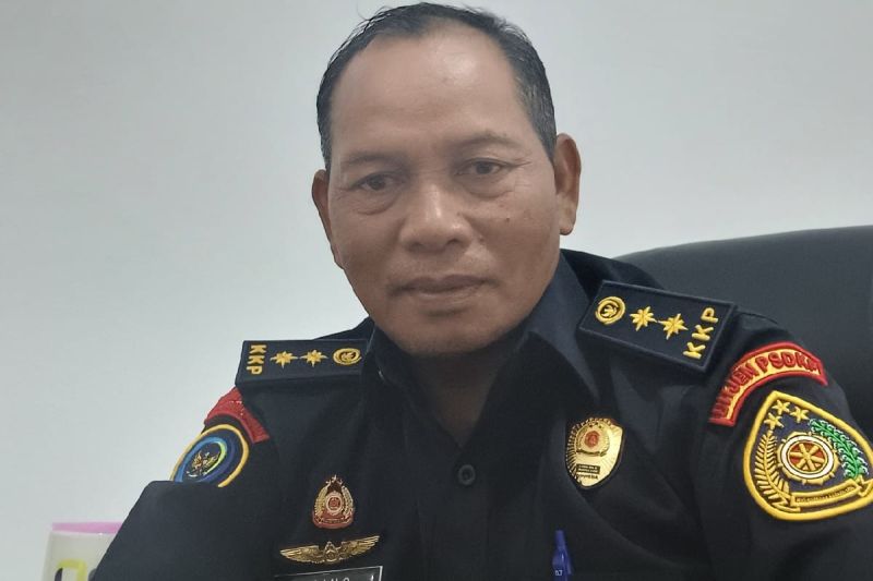 Kasihan Sekali Kemarau Makin Parah! 500 Hektare Sawah di ...