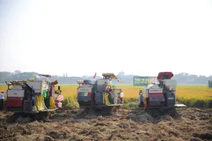Mentan Optimistis Ketahanan Pangan Aman Hadapi El Niño