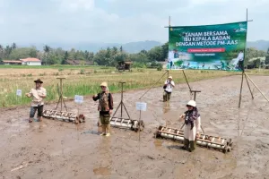 Petani Sleman Bakal Diuntun...