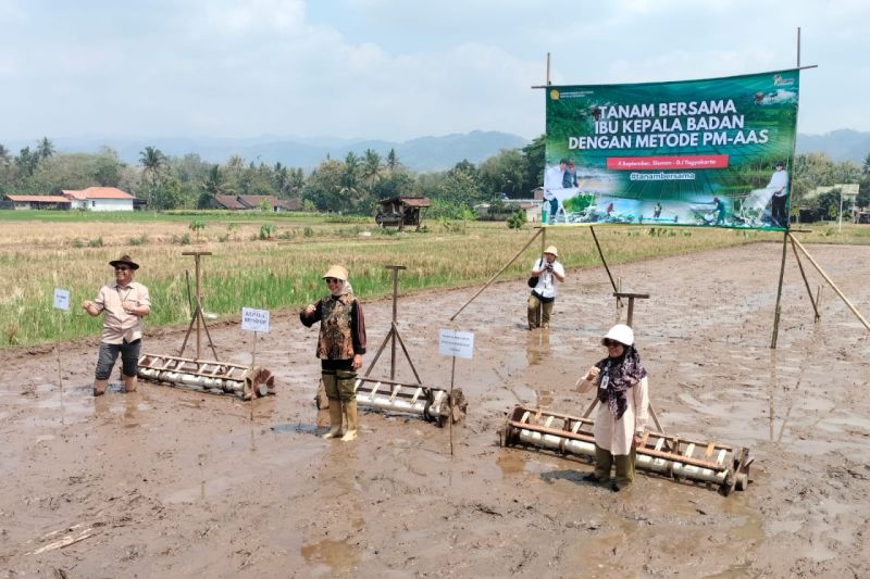 Petani Sleman Bakal Diuntungkan! Pemkab Optimalkan Irigas...