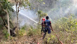 BPBD Sulteng Tangani Karhutla Seluas 19 Hektare di Sigi
