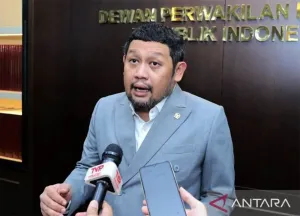 DPR Desak Pelaku Pembakar Lahan Diproses Hukum
