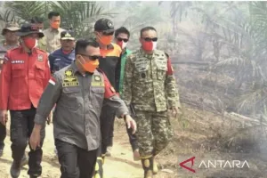 Dua Warga Tanjung Jabung Barat Jadi Tersangka, Diduga Bakar dan Kuasai Kawasan Hutan.
