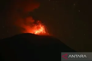 Gunung Ile Lewotolok di NTT Erupsi Lagi, Kolom Abu Mencapai 600 Meter