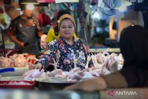 Harga Cabai Rawit dan Daging Ayam Naik, Tekanan Inflasi Pangan Mulai Mengintai