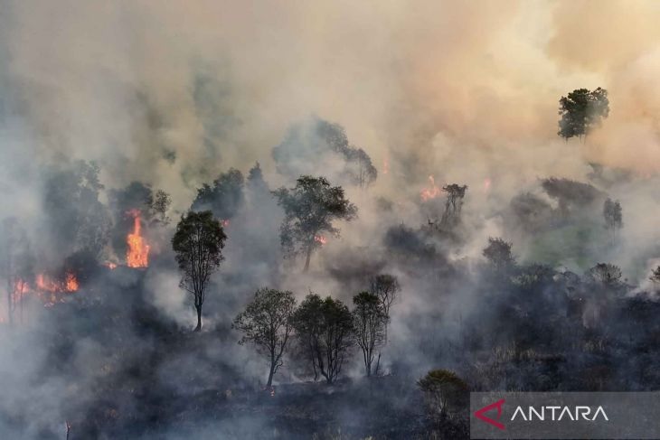 PBB: Kebakaran Hutan dan Gelombang Panas Bahayakan Kualit...