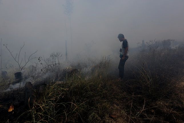 Pembakar Lahan Harus Diminta Tanggung Jawab Biaya Pemulihan