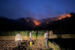 Ponorogo Catat 54 Karhutla, Luas Area Terdampak Capai 189 Hektare
