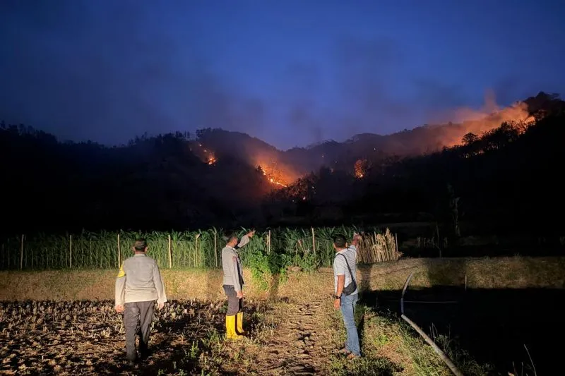 Ponorogo Catat 54 Karhutla, Luas Area Terdampak Capai 189 Hektare