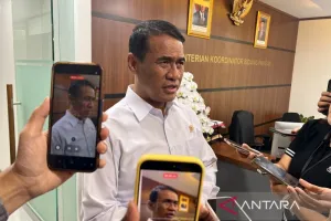 Produksi Beras Aman Seiring Pemerintah Tambah SPHP Medium 1 Juta Ton