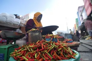 Harga Cabai Makin Pedas! Disperindag Sulteng Siapkan Jurus Tekan Kenaikan Harga
