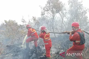 Jangan Diabaikan! Perempuan Penjaga Hutan Bisa Jadi Kunci Tangani Karhutla