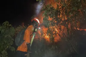 Karhutla Meluas di Poso! BPBD Catat 427 Hektare Lahan Terdampak