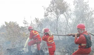 Komnas Perempuan Minta Pemerintah Libatkan Perempuan dalam Penanganan Karhutla