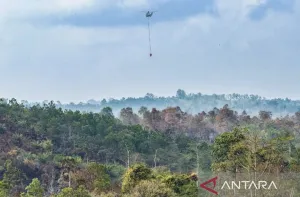 OIKN dan BNPB  Kurangi Titik Panas di Penyangga IKN