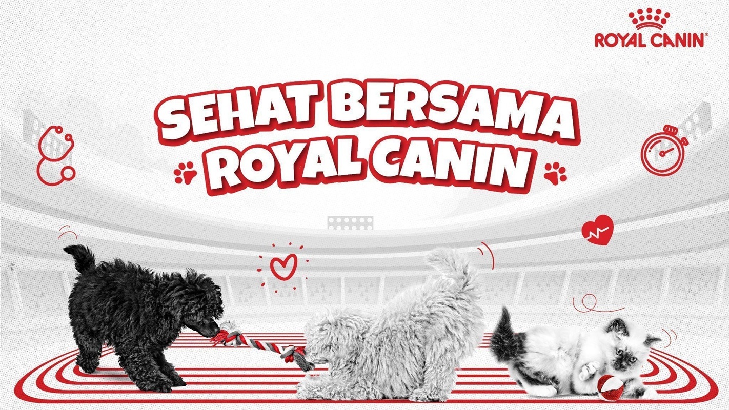 Pemilik Hewan Peliharaan Didorong Lebih Proaktif Menjaga Kesehatan Binatang Kesayangan