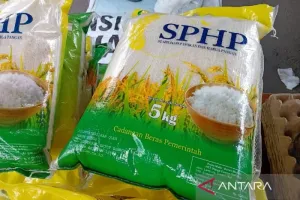 Tak Mau Harga Pangan Melejit, Bapanas Genjot Pasokan SPHP ke Pasar