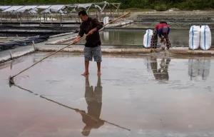 Target Hentikan Impor Garam 2029 Perlu Diikuti Peningkatan Mutu Produksi