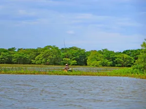Waduk Mulai Kritis, Sri Lanka Bersiap Hadapi Kekeringan