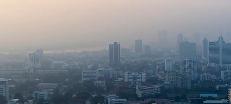WMO Sebut Kebakaran Hutan dan Gelombang Panas Ancam Kuali...