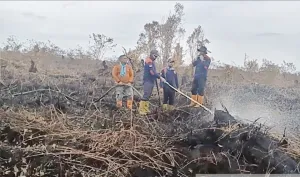 13 Hektare Lahan di Aceh Barat Hangus, Asap Tebal Mulai Racuni Pernapasan Warga