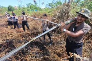 43 Ribu Personel Turun Tangan! BNPB Kerahkan Pasukan Gabungan Padamkan Karhutla di 6 Provinsi