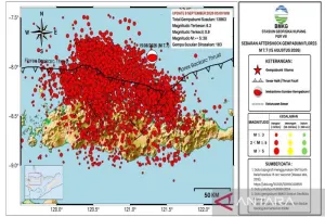 BMKG: Gempa Susulan Magnitudo 7,7 Flores pada Rabu Pagi Capai 13.863 Kali 