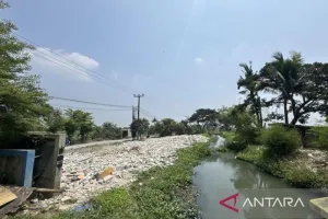 Bukan Lagi Kumuh! Lahan Eks Bangunan Liar di Bekasi Kini Disulap Jadi Ruang Hijau