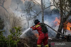 Hotspot Karhutla Menurun, Menhut Raja Juli Antoni Ingatkan Jangan Lengah