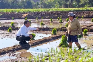 Kinerja Mentan Amran Ternyata Bikin Terkejut, IndexPolitica Ungkap Hasil Penilaiannya