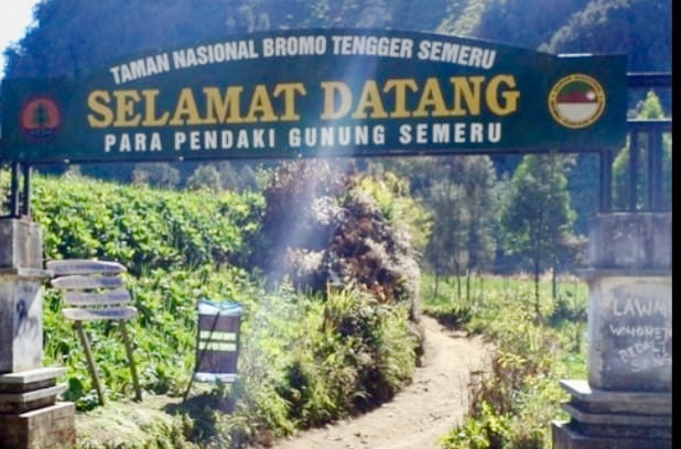 Kronologi 8 Pendaki Ilegal Kena Blacklist Karena Nekat Me...