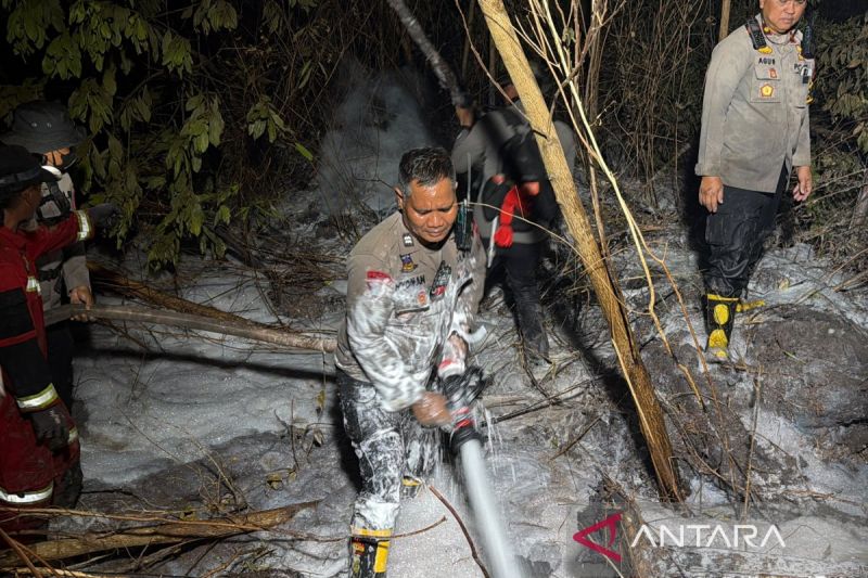 Lahan Gambut Kalsel Terbakar! Polda Turun Tangan Dinginka...