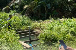 Lahan Pertanian Tanimbar Bakal Dioptimalkan, BBRMP Maluku Usulkan Irigasi Perpompaan.