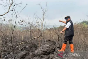 Luas Karhutla di Gunung Ciremai Mencapai 40 Hektare
