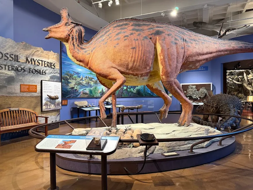 Mau Bawa Pulang Fosil Dinosaurus? Museum Sejarah Alam San Diego Tempatnya