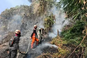 Pemkab Poso Siapkan Dua Posko Induk sebagai Pusat Koordinasi Siaga Kebakaran Hutan dan Lahan