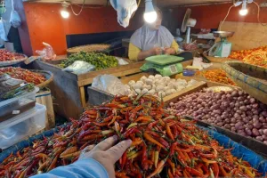 Pemprov Sulawesi Utara Pasok Cabai Rawit 3.000 Kg dari Makassar