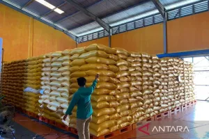 Perum Bulog Catat Stok 95.500 Ton Beras di Sultra Aman hingga Maret 2027